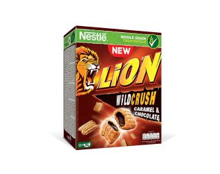 Lion pillows 360g